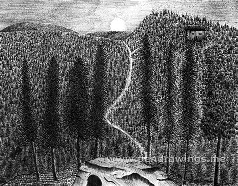 Image result for Tree Bark Simple Drawing