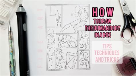 Image result for Body Guide Box Drawing