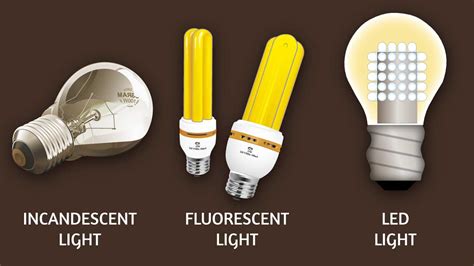 Image result for Types of Light Bulbs Explained