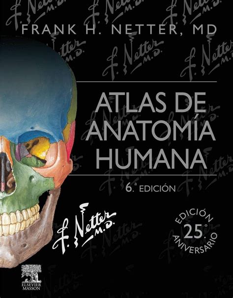 Atlas de Anatomía Humana 6 Edición Frank H. Netter - PDF | Solucionario