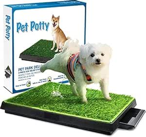 SKADE Dog Grass Pad with Tray - Puppy Potty Training Grass Mat ...