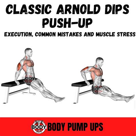 Chair Dips Muscles Worked