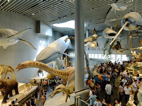 全球值得一看的七大自然博物馆，中国上海排名第一，当之无愧 - 每日头条