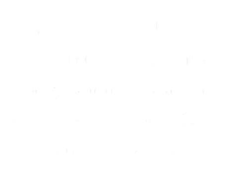 Visa Cash App Racing Bulls Formula One Team