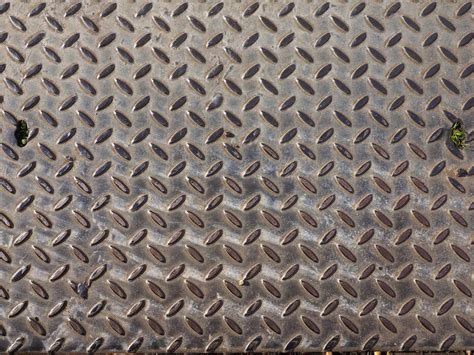 Steel 图片 的图像结果