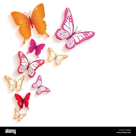 Colorful Butterfly Backgrounds