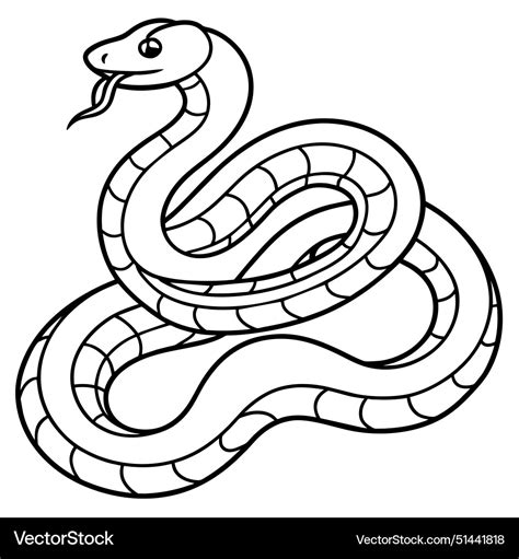 Image result for Amethystine Python Poster