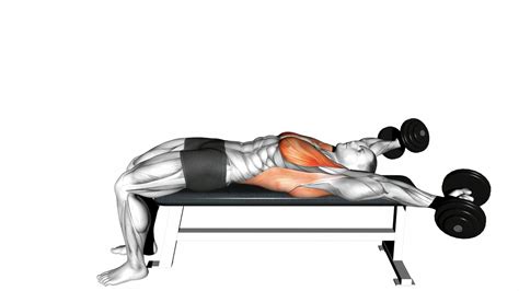 10 Essential Weight Bench Exercises For A Full-Body Workout - Workout Guru