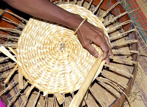 D'source Introduction | Banana Stem | D'Source Digital Online Learning ...