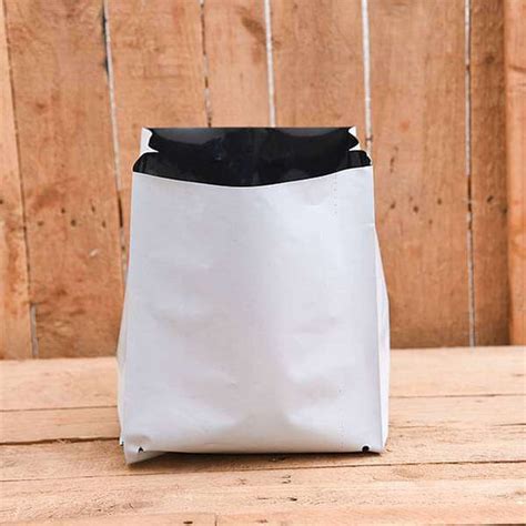Buy White Color Planters online from Nurserylive at lowest price.