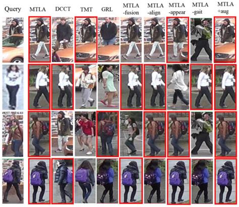 Pedestrian Re-Identification Based on Fine-Grained Feature Learning and ...