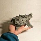 Image result for Origami Snapping Turtle