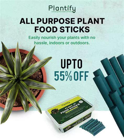 Plant Food Sticks - All-Purpose Plant Nutrition – Plantify Garden