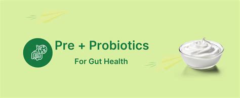 LUMY MultiVitamin Gummies For Kids: Pre+Probiotic, DHA For Happy Gut ...