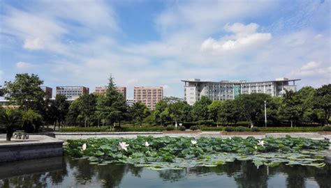 浙江经贸职业技术学院-院校-钱塘人力网