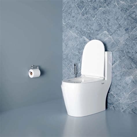 Buy Western Toilet, Water Closet & Commode Online – Ruhe