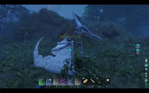 ARK Survival Ascended Pteranodon taming guide