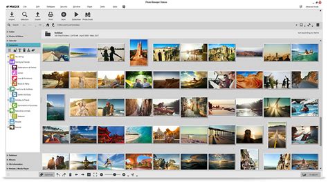 Image result for Photo Sorting Software
