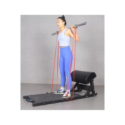 GFS HIP Thrust Machine Bench Platform, newest Core & | Ubuy India