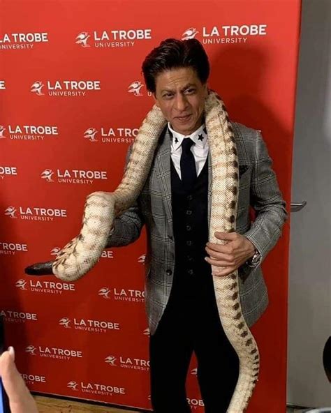 Image result for Python around Neck