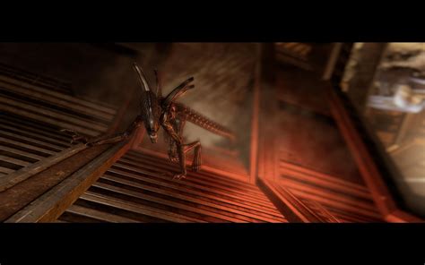 Image result for Alien vs Predator PC