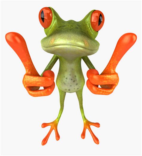 Image result for Funny Tree Frog