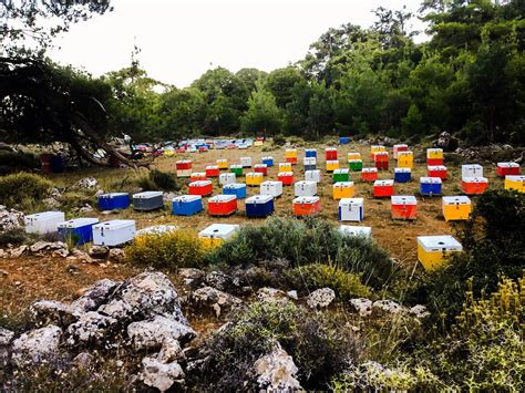 LOCAL EXPERIENCE (2026) All You Need to Know BEFORE You Go (with Photos ...