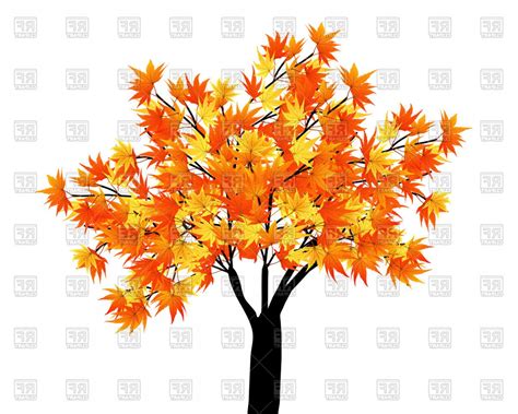 Image result for Maple Vector Plot