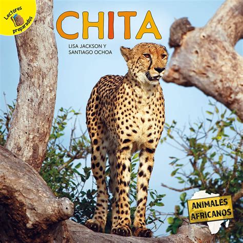 Amazon.com: Cheetah: Chita – Rourke Spanish Reader, Grades PK–2 ...