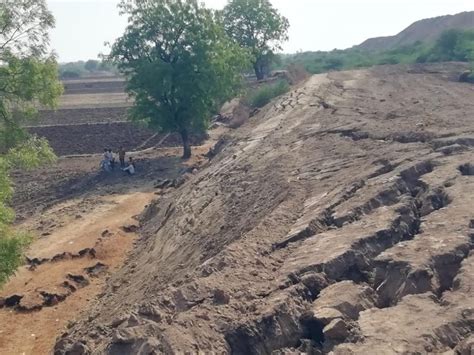 Gujarat: Environmentalists concerned over rising land in Bhavnagar, say ...