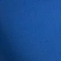 Buy Carefree Casuals Padded Non-Wired Bra - Royal Blue | amanté