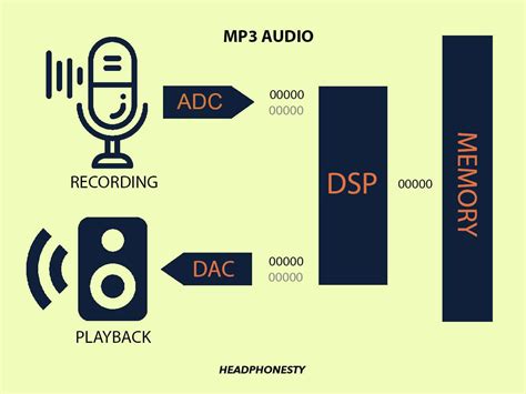 Audio DSP Processor Programming 的图像结果