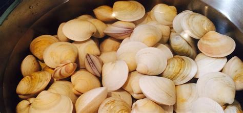 Image result for Making Clam Chowder From Scratch