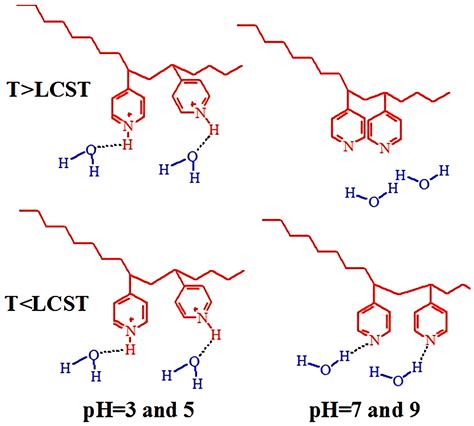 Molecular Design and Role of the Dynamic Hydrogen Bonds and Hydrophobic ...