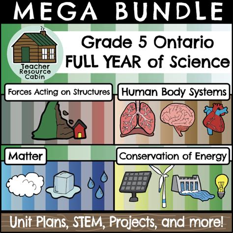 Image result for Forces and Structures Grade 5