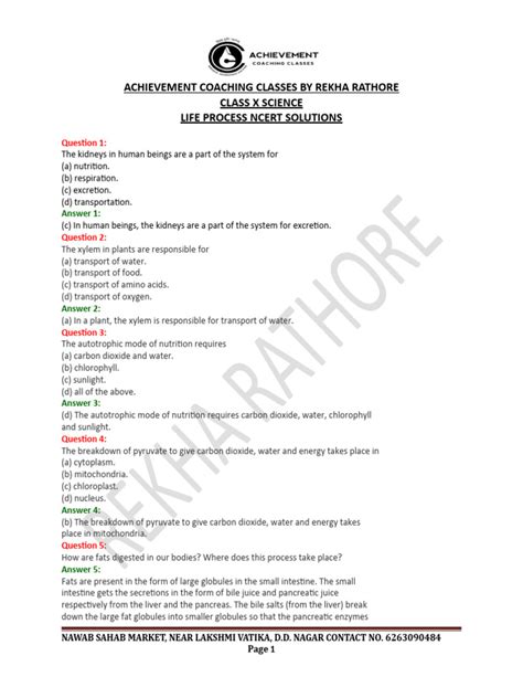 Class 10 Science Life Process 的图像结果