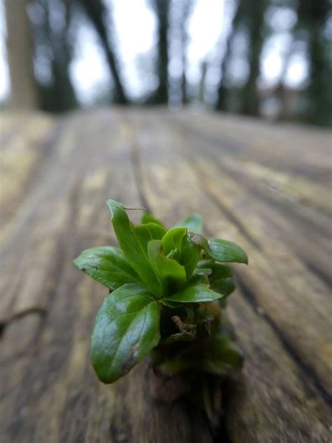 Image result for Lumix Tz80 Tutorial