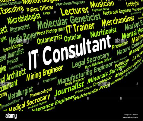 Information Technology Consultant 的图像结果