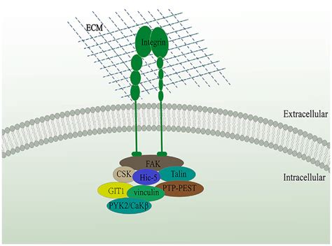 Image result for Basic Hic Command Structure and Function