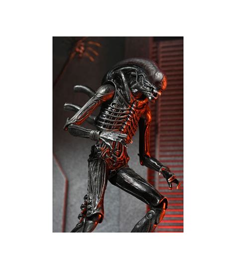 Ultimate Xenomorph Xx121 Scale Action Alien: Romulus