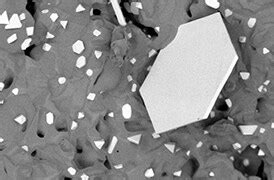 Image result for Autoscript Tem