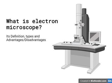 Image result for Electron Microscope Types