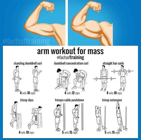 Powerful arms | Arm workout, Arm workout for mass, Biceps workout