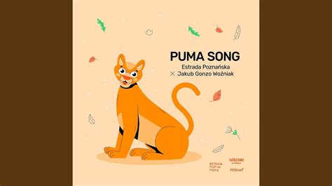 Puma Sounds 的图像结果