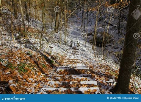 Hemlock Cliffs Indiana