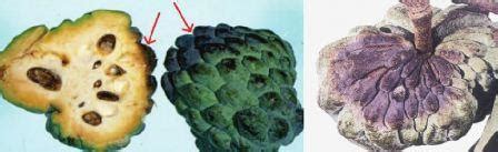 Favourable conditions