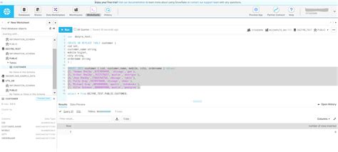 Image result for How to Use Excel to Update Snowflake Database