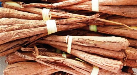 போச்சம்பள்ளி, மத்தூர் பகுதியில் பனங்கிழங்கு விளைச்சல் அதிகரிப்பு ...