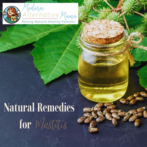 Natural Remedies For Feline Mastitis at Eddie Hutto blog