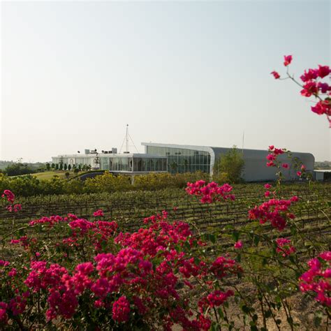 Our Winery – Fratelli Wines